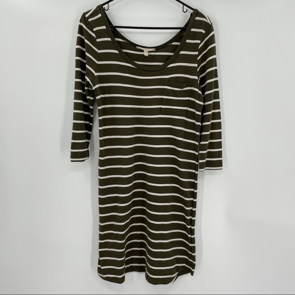 Banana Rep. Factory Green & White Striped Dress